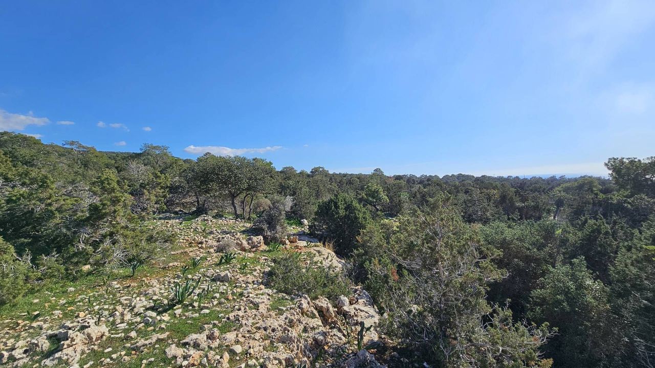 Terrain à Pejia, Chypre, 56 196 m² - image 4