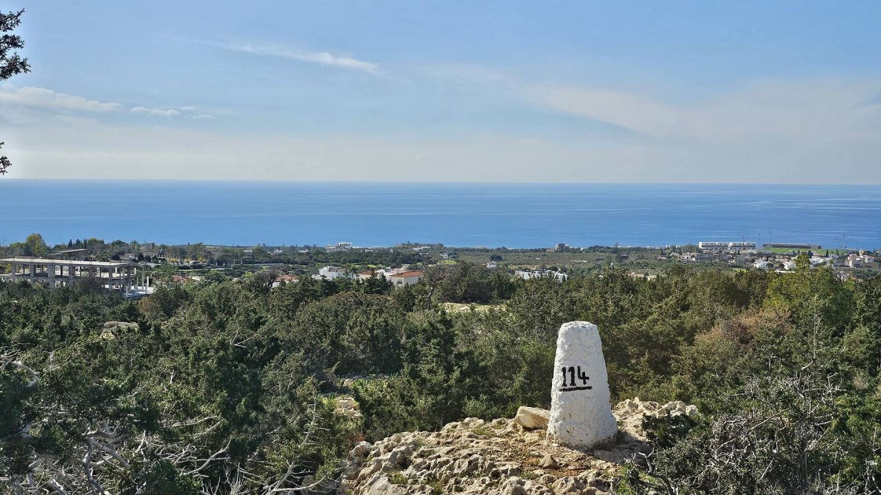 Terrain à Pejia, Chypre, 56 196 m² - image 5