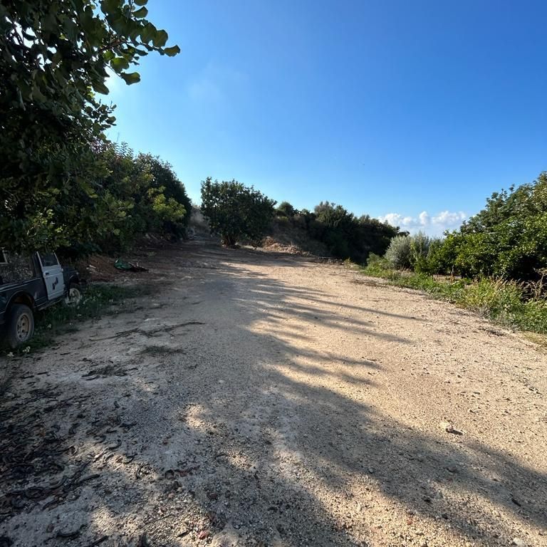 Terreno en Peyia, Chipre, 1 338 m² - imagen 6