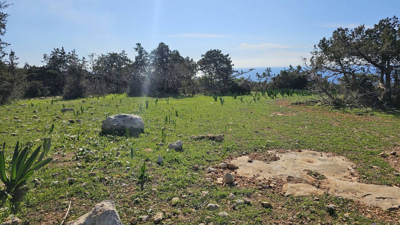 Terrain à Pejia, Chypre, 56 196 m² - image 6