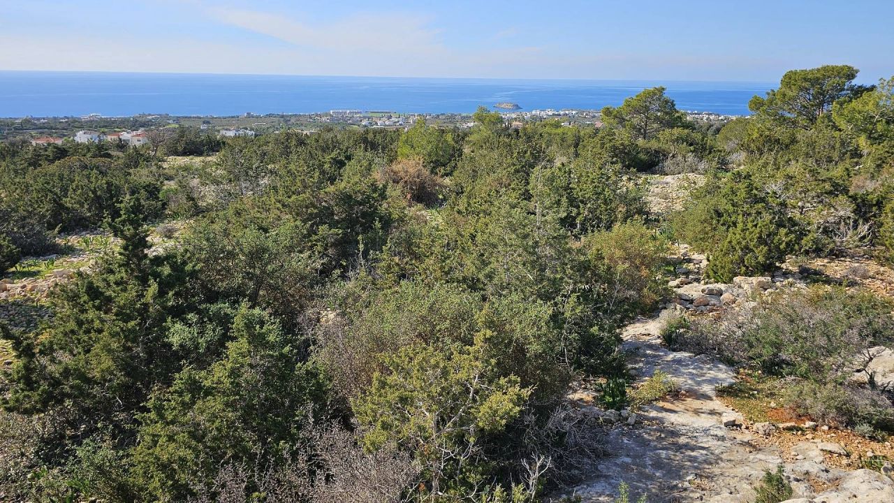 Terrain à Pejia, Chypre, 56 196 m² - image 7