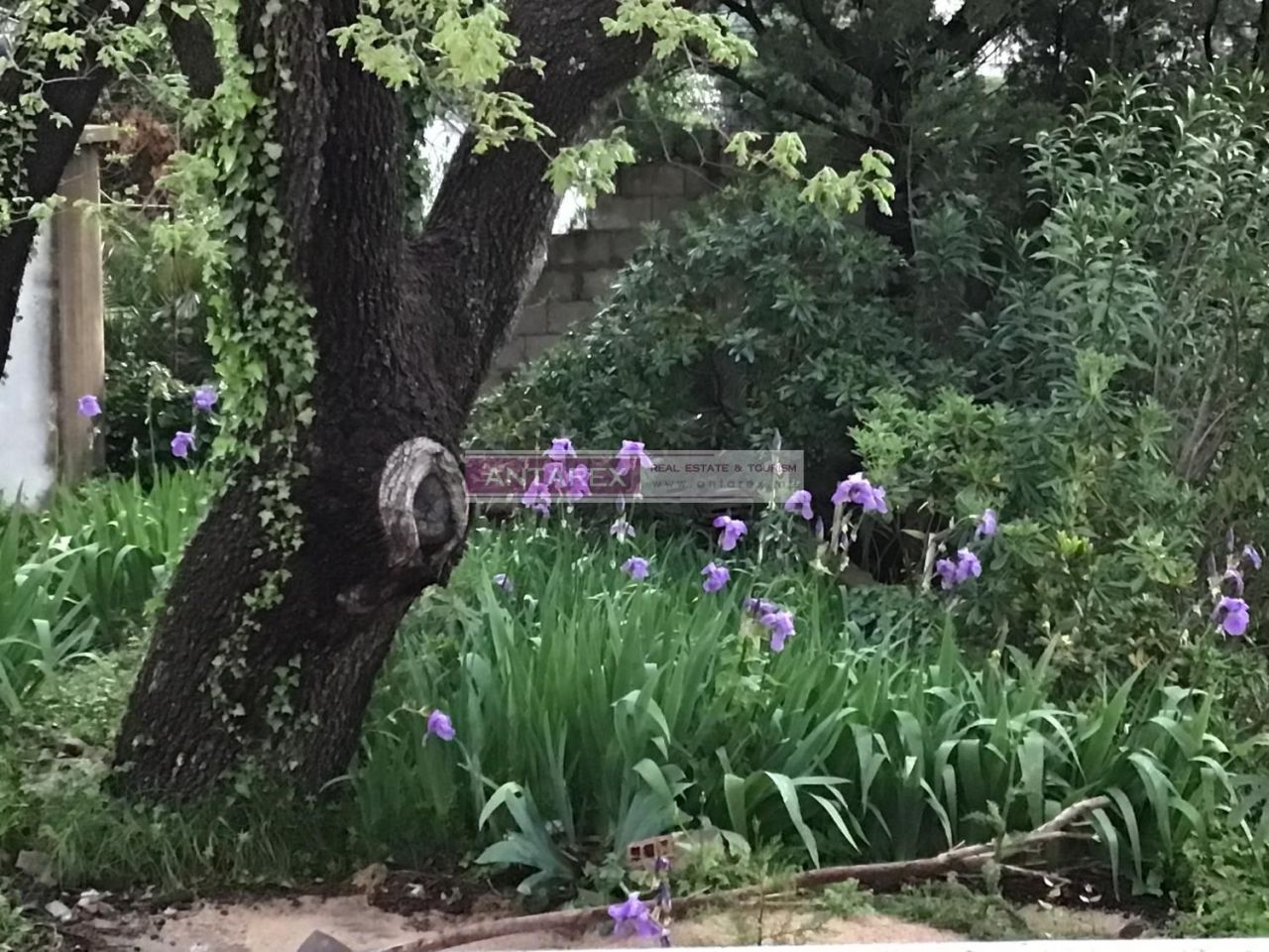 Villa à Sutomore, Monténégro, 260 m² - image 6