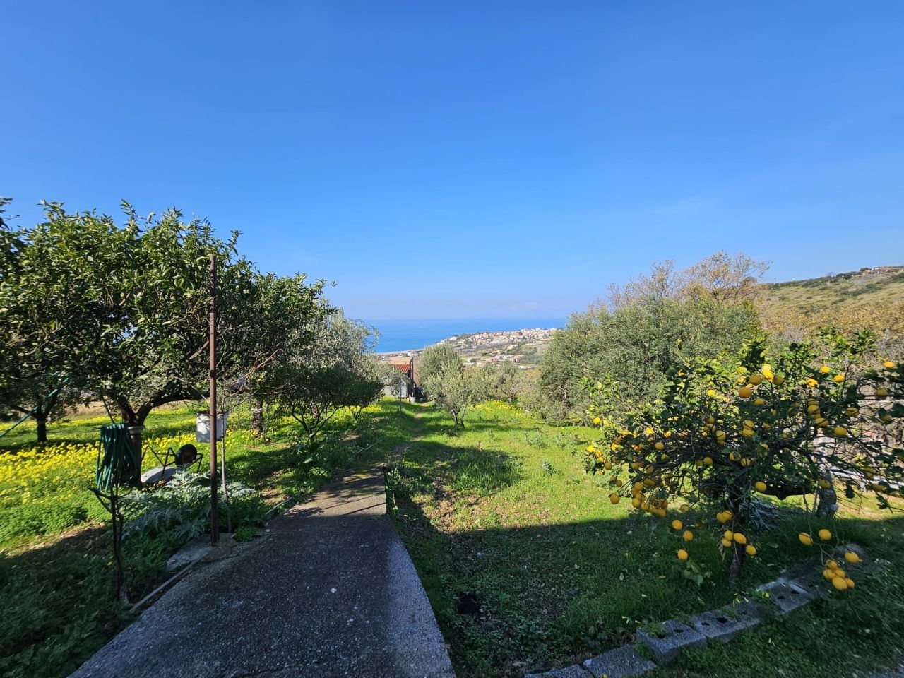 Wohnung in Cirella, Italien, 980 m² - Foto 16