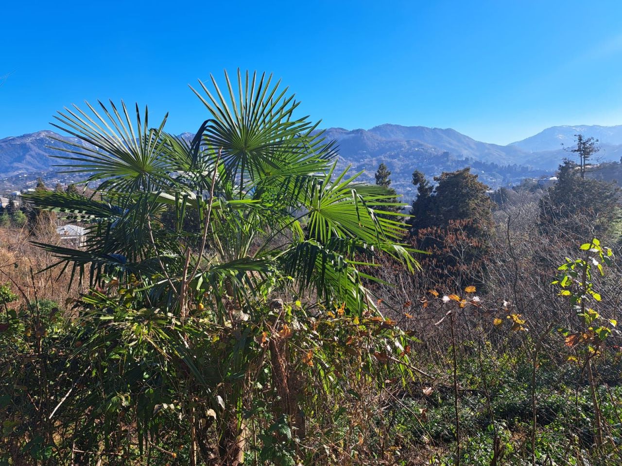 Casa en Batumi, Georgia, 80 m² - imagen 4