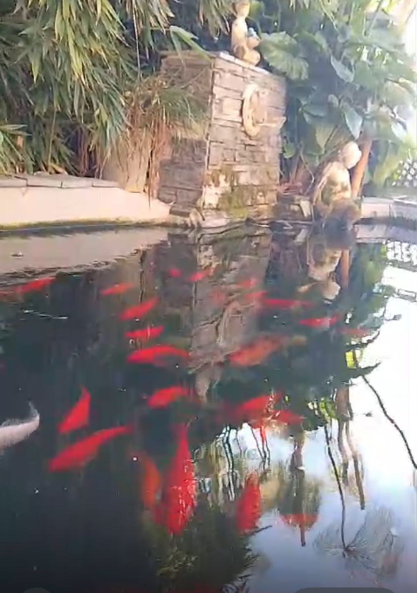 Villa a Nizza, Francia, 128 m² - foto 5