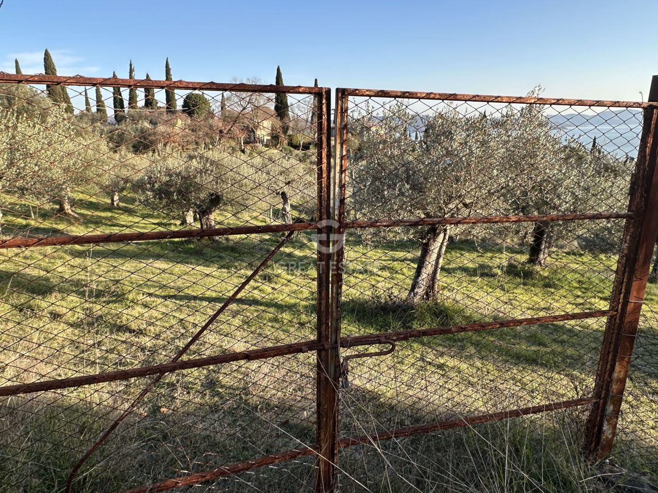 Villa in Passignano sul Trasimeno, Italy, 347.1 m² - picture 7