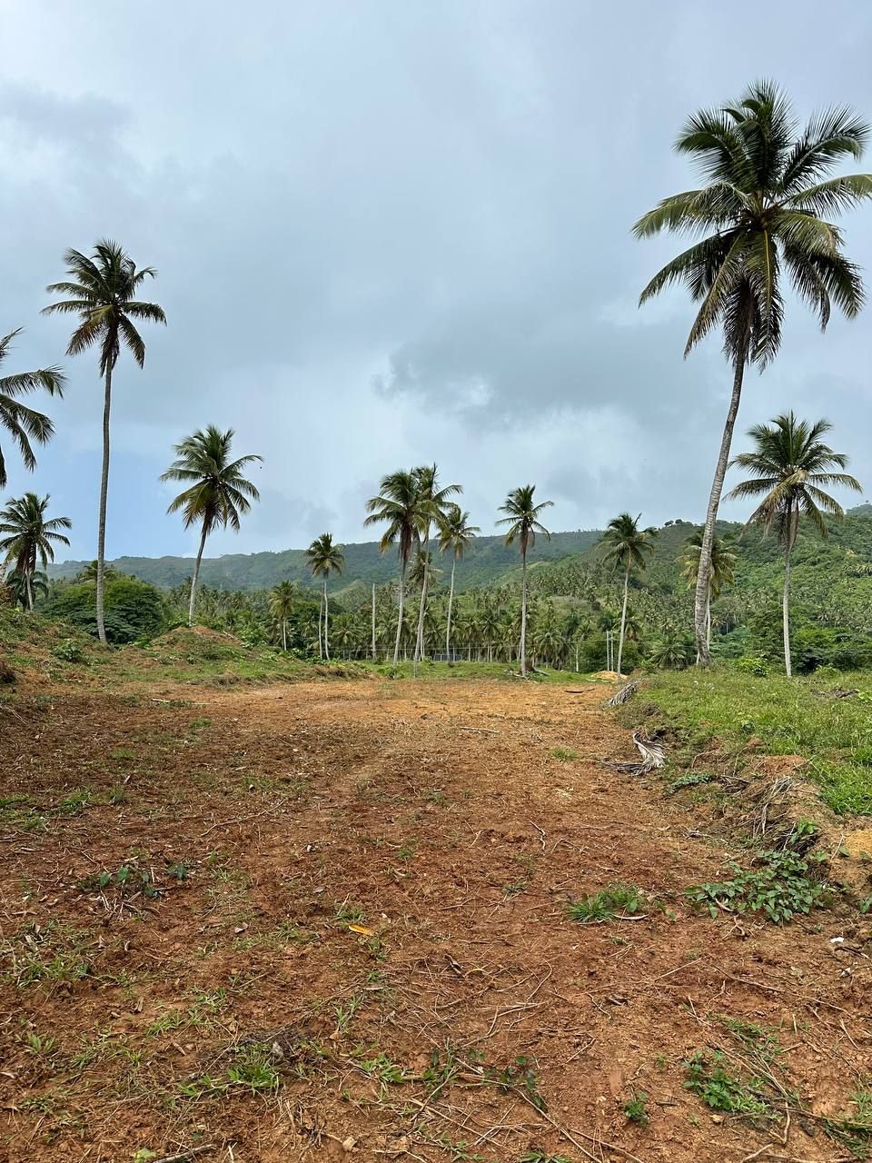 Land in Samana, Dominican Republic, 3.5 ares - picture 8