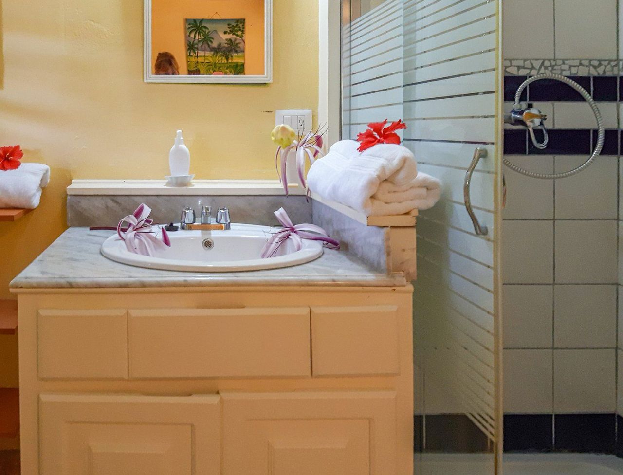 Hotel in Samana, Dominican Republic, 520 m² - picture 9