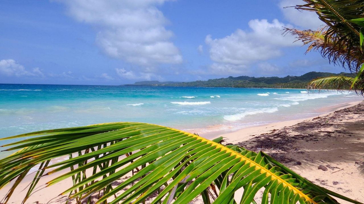 Hotel in Samana, Dominican Republic, 520 m² - picture 18