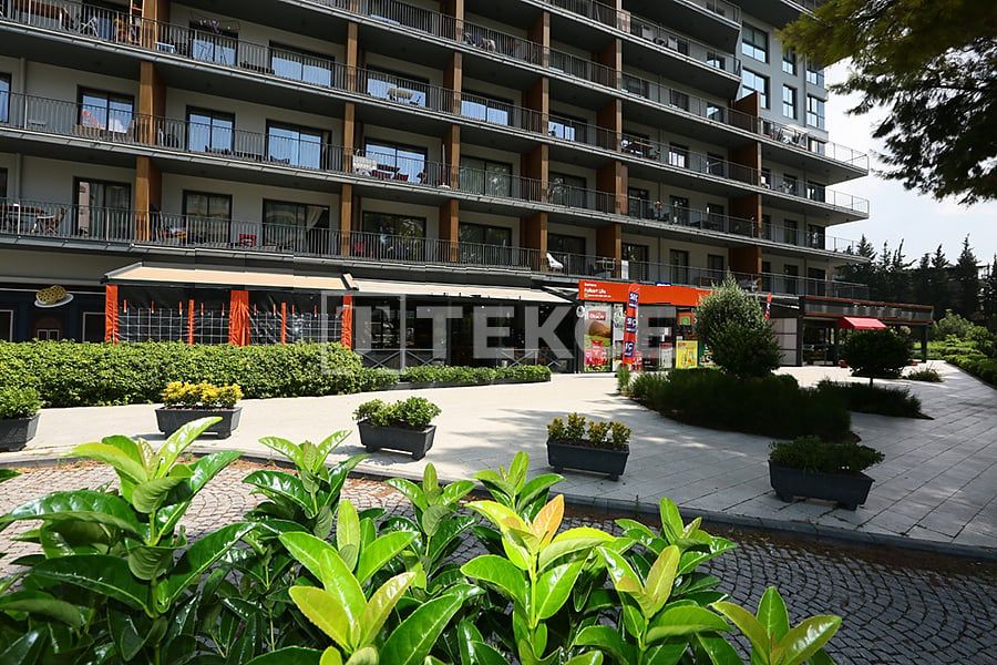 Café, restaurant Bornova, Turquie, 163 m² - image 6