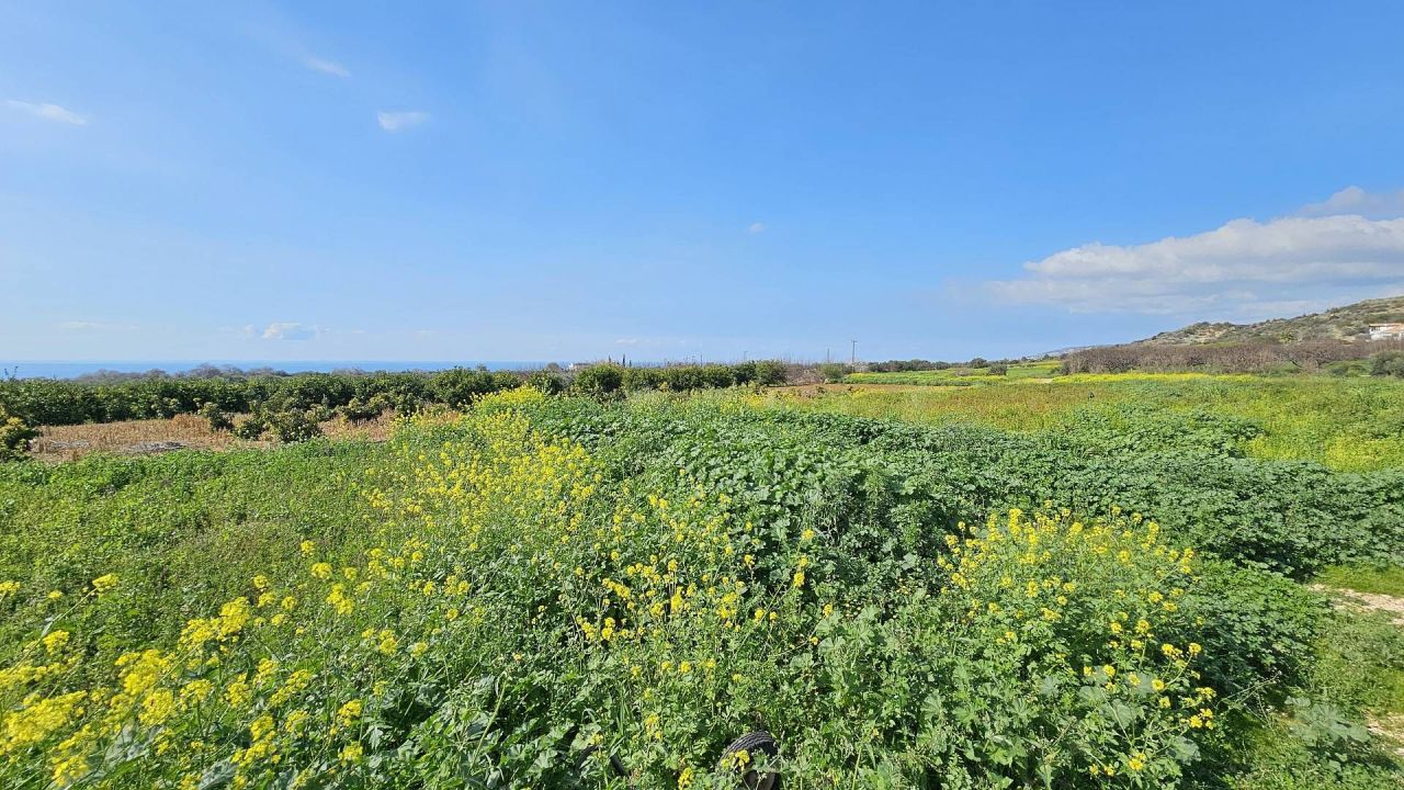 Terreno a Tala, Cipro, 6 300 m2 - foto 3