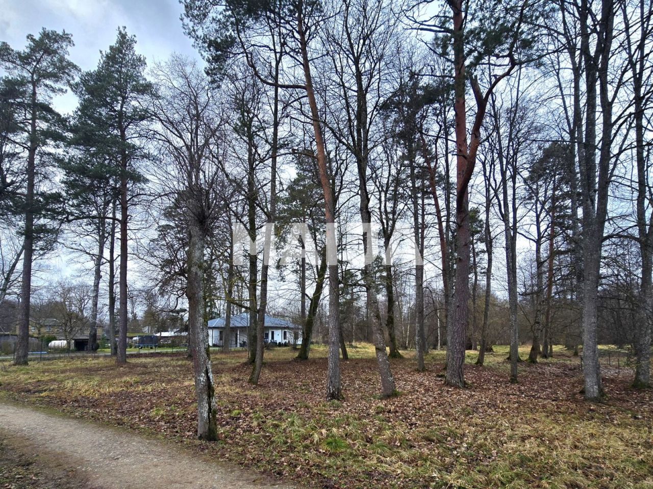 Grundstück Baldone, Lettland, 3 920 m² - Foto 6