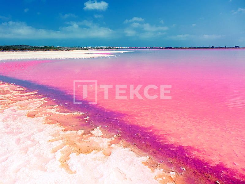 Appartamenti a Torrevieja, Spagna, 72 m² - foto 13