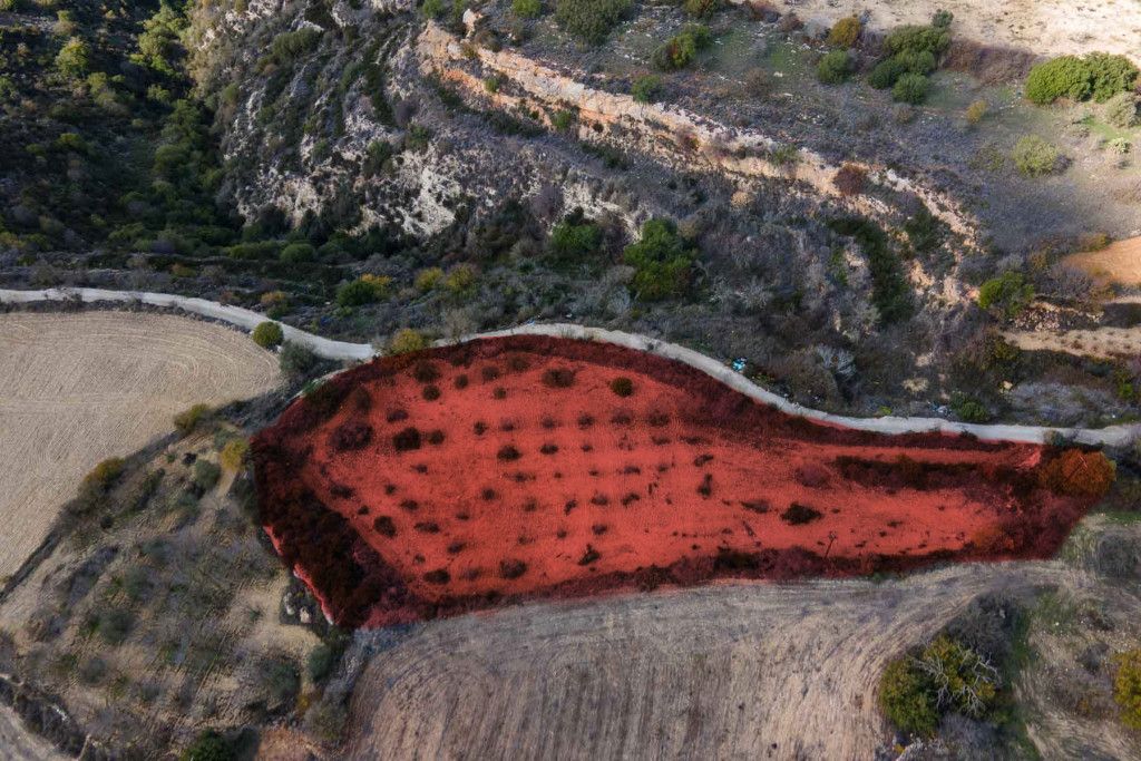 Caffè, ristorante a Paphos, Cipro - foto 3
