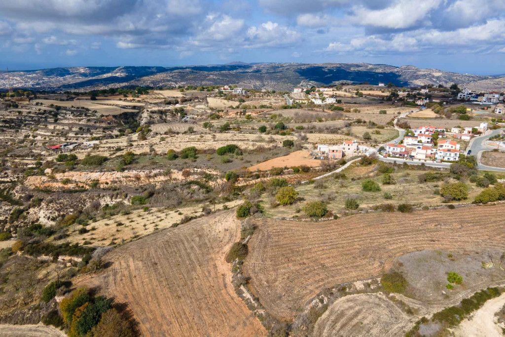 Caffè, ristorante a Paphos, Cipro - foto 10
