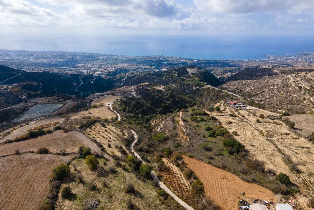 Caffè, ristorante a Paphos, Cipro - foto 16
