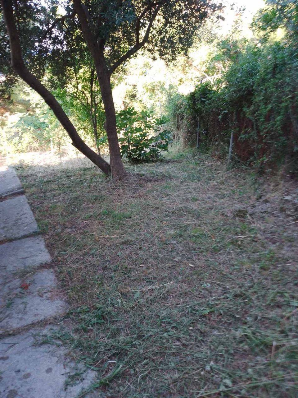 Land in Susanj, Montenegro, 412 m² - picture 12