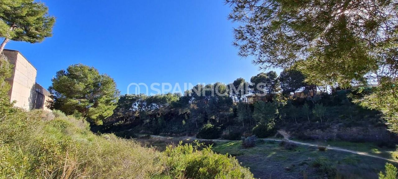 Villa in Pilar de la Horadada, Spanien, 191 m² - Foto 6