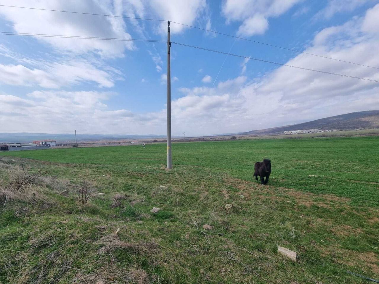 Terreno en Kosharitsa, Bulgaria, 3 000 m² - imagen 1