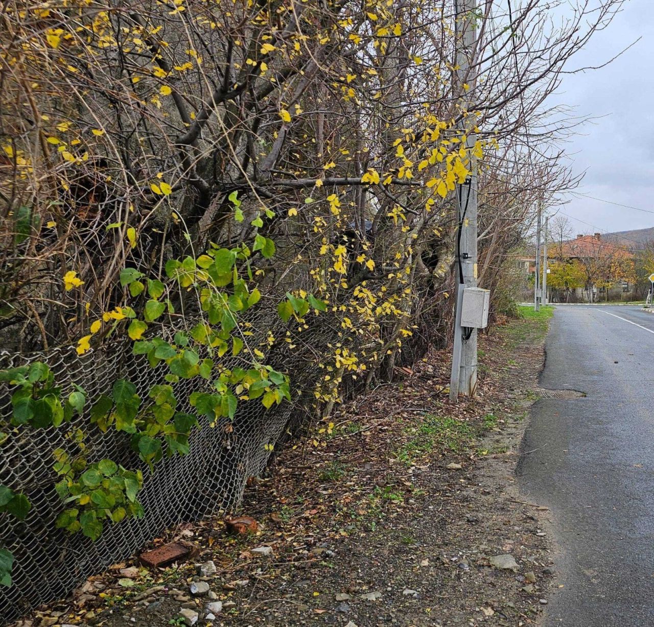 Land in Kosharitsa, Bulgaria, 2 588 m² - picture 1
