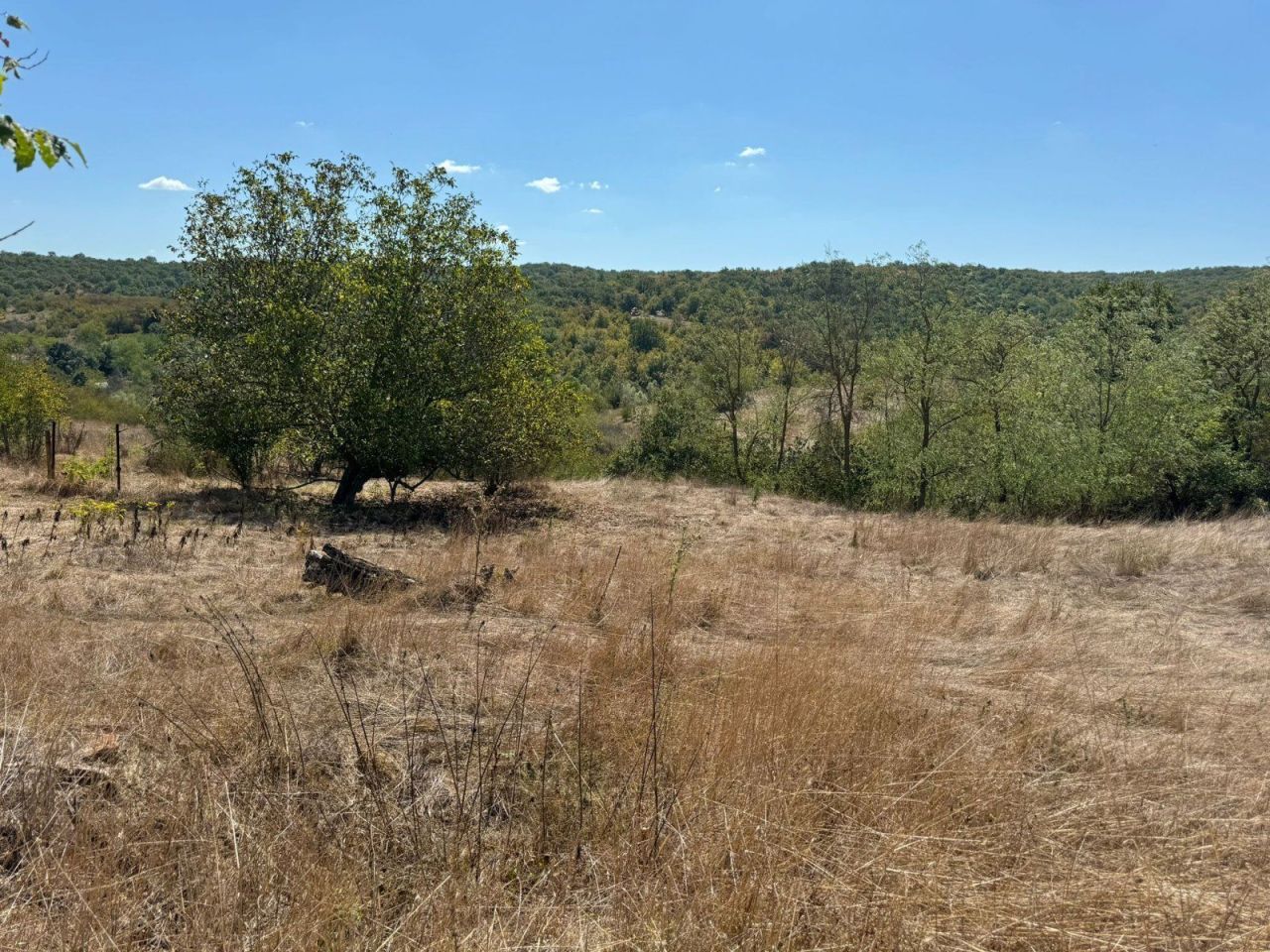 Terrain dans les Sredets, Bulgarie, 2 200 m² - image 1