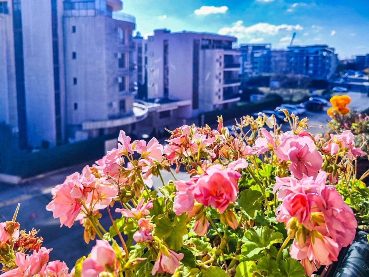 Apartamento Sonnenstrand, Bulgaria, 65 m² - imagen 2