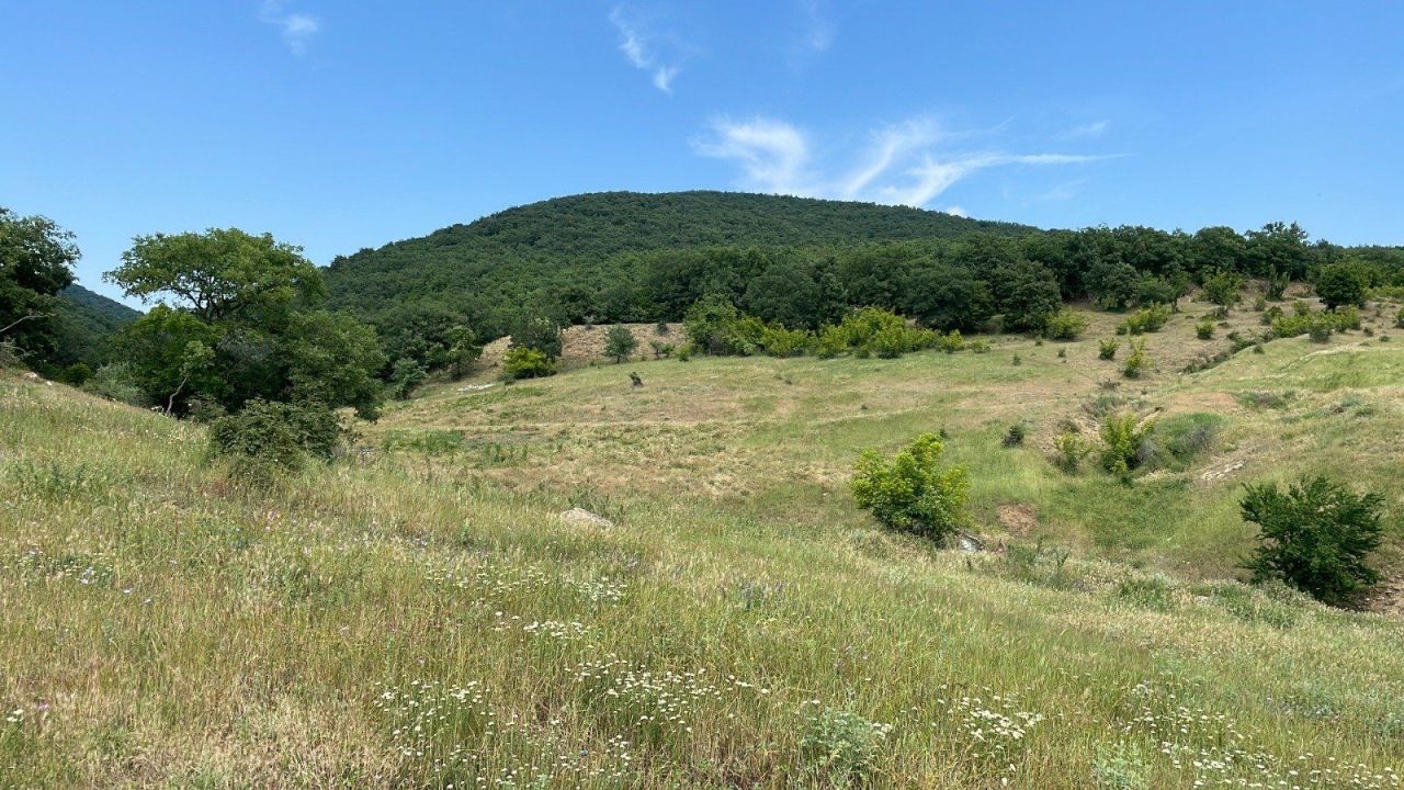 Grundstück in Koschariza, Bulgarien, 1 303 m² - Foto 3