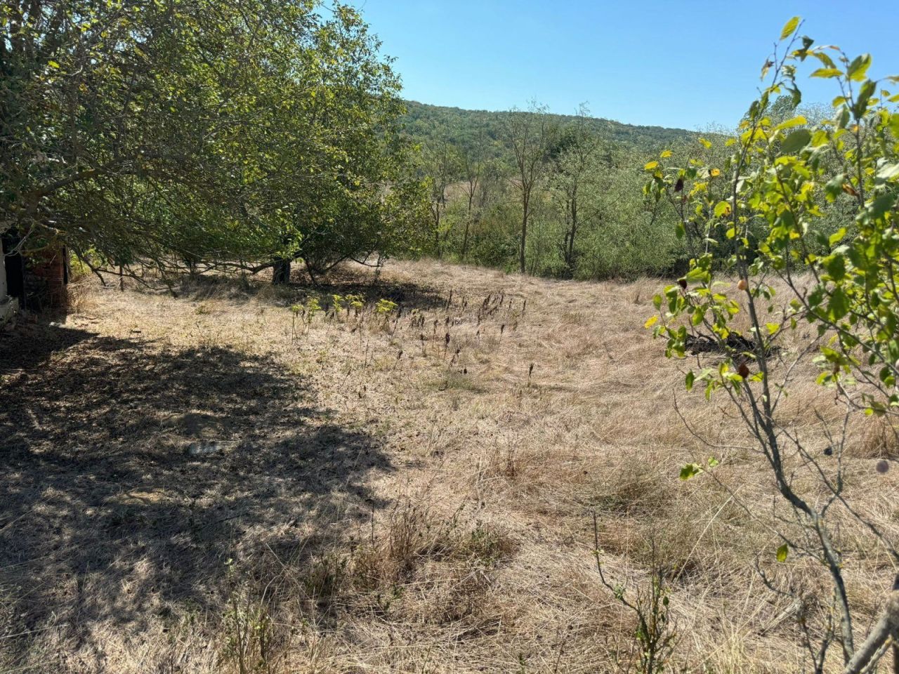 Grundstück in Sredez, Bulgarien, 2 200 m² - Foto 5