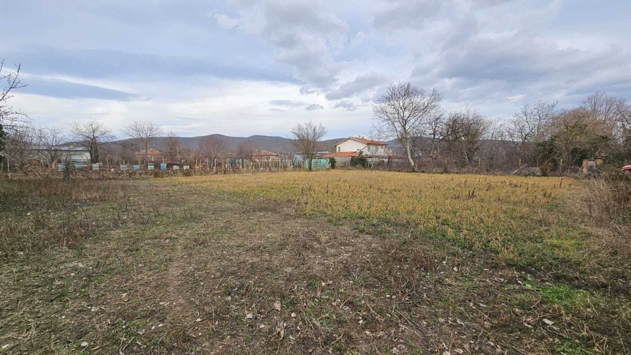 Bungalow Gulowtza, Bulgaria, 80 m² - picture 6