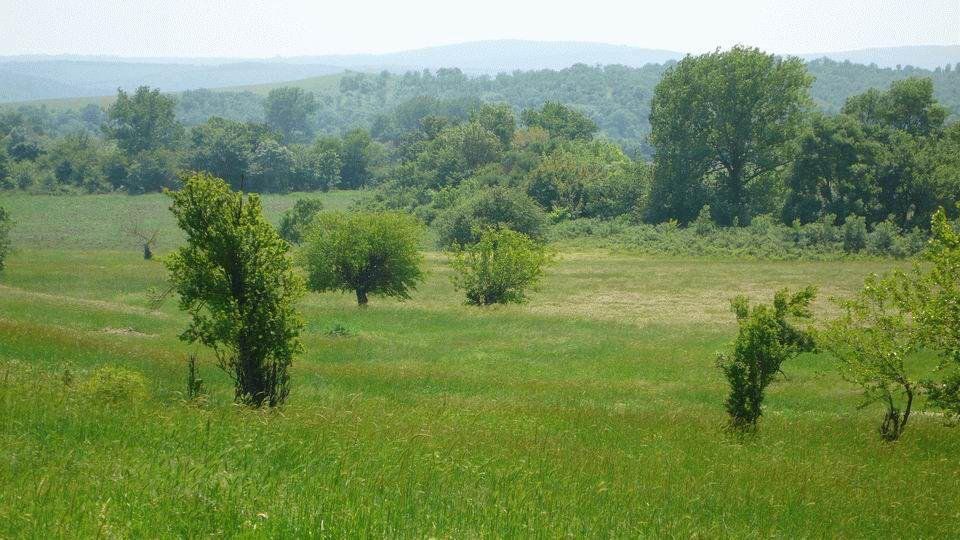 Land in Sredets, Bulgaria, 4 570 m² - picture 7