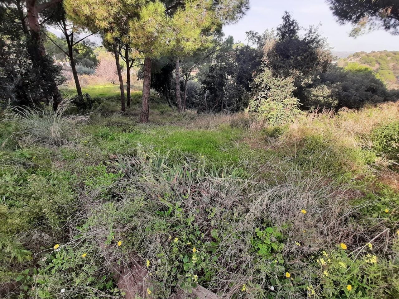 Casa sulla Costa del Maresme, Spagna, 600 m² - foto 4