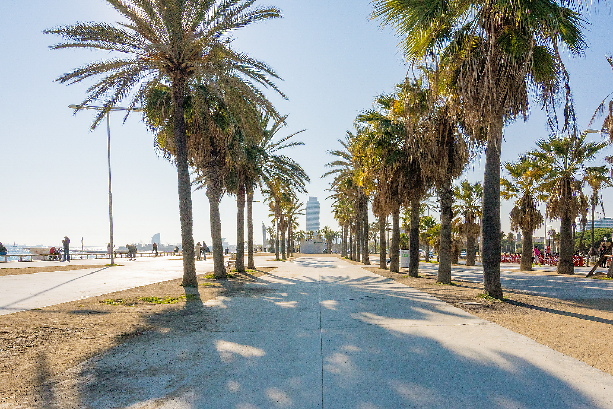 Flat in Barcelona, Spain, 190 m² - picture 6