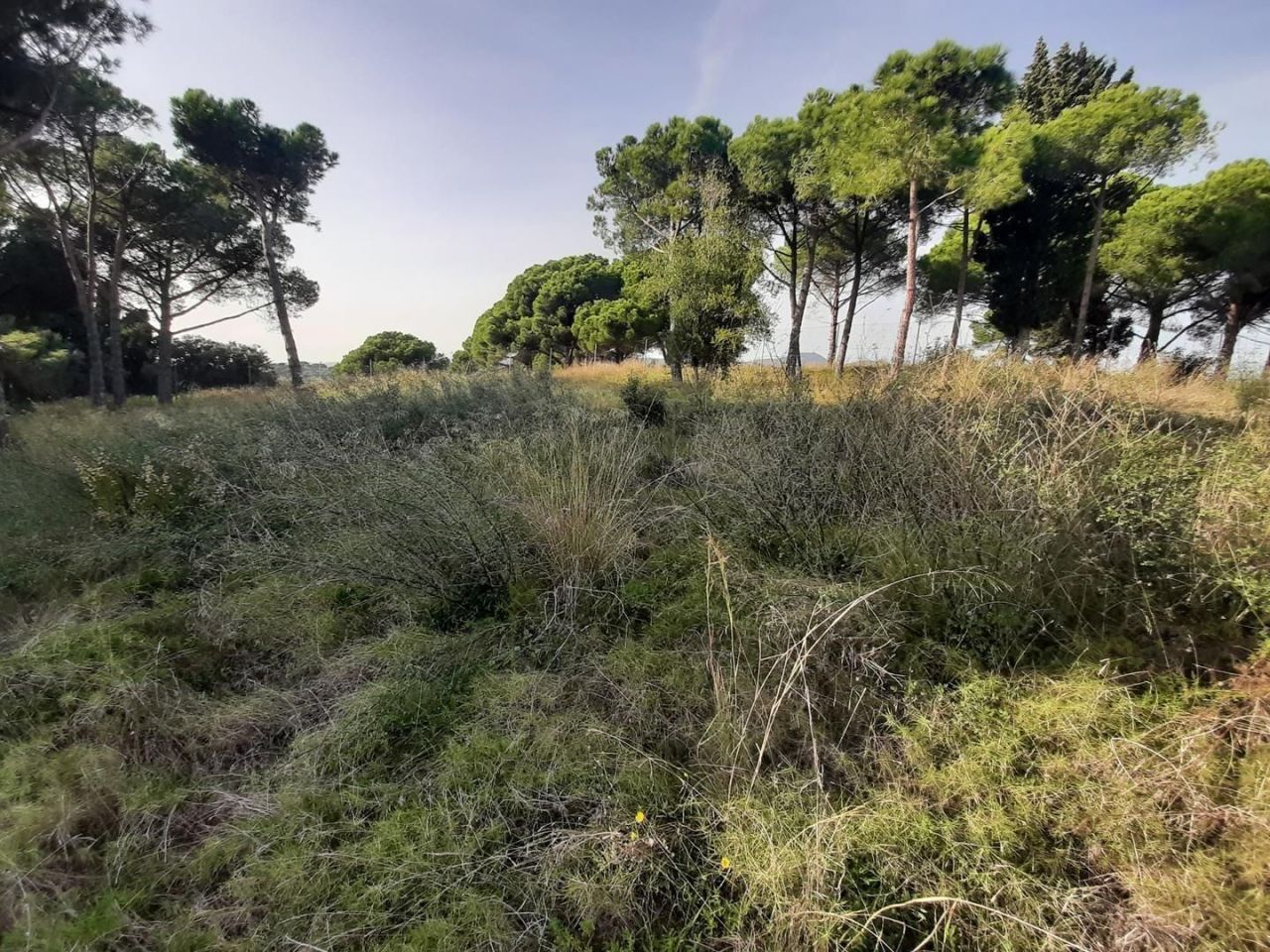 Casa sulla Costa del Maresme, Spagna, 600 m² - foto 6