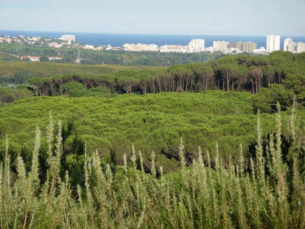 Maison sur la Costa Brava, Espagne, 750 m² - image 9
