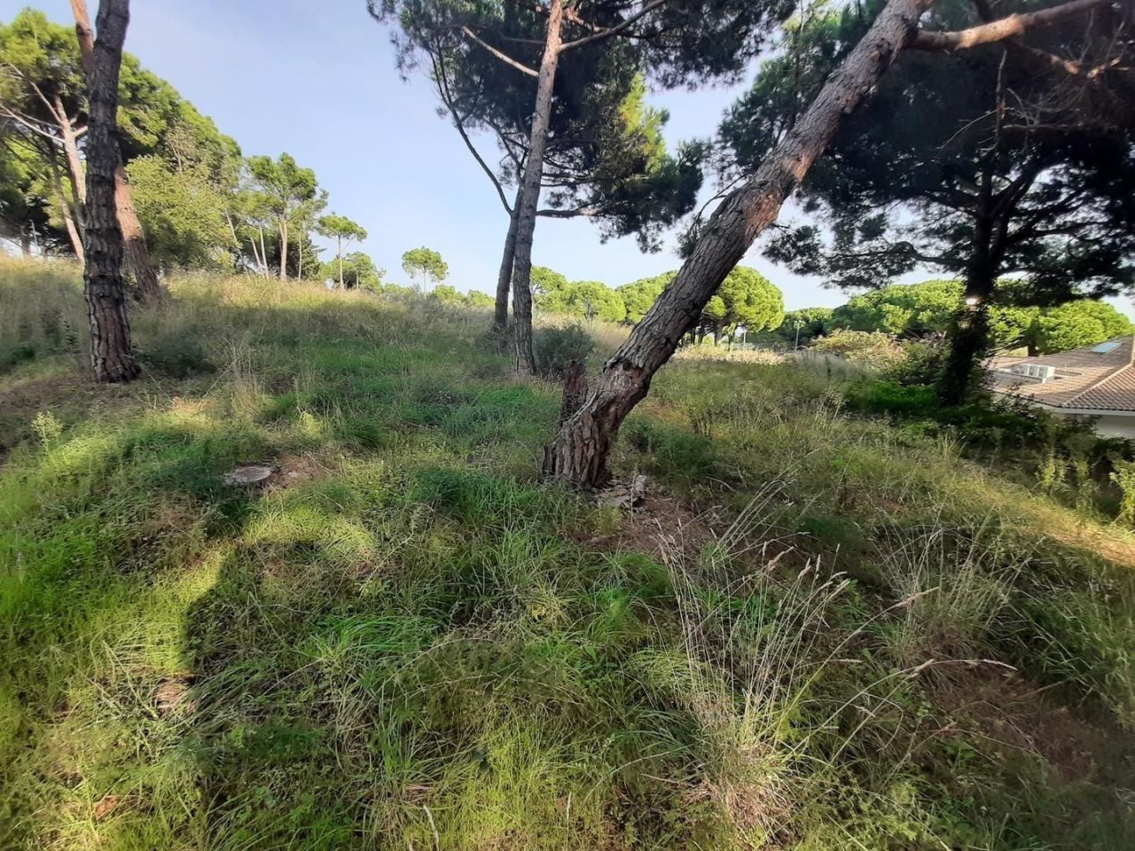 Casa sulla Costa del Maresme, Spagna, 600 m² - foto 10