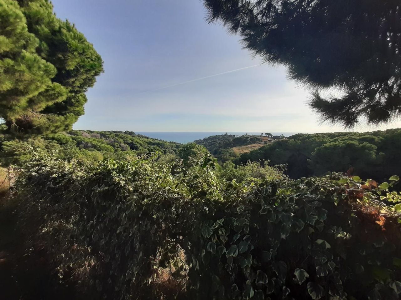 Casa sulla Costa del Maresme, Spagna, 600 m² - foto 12