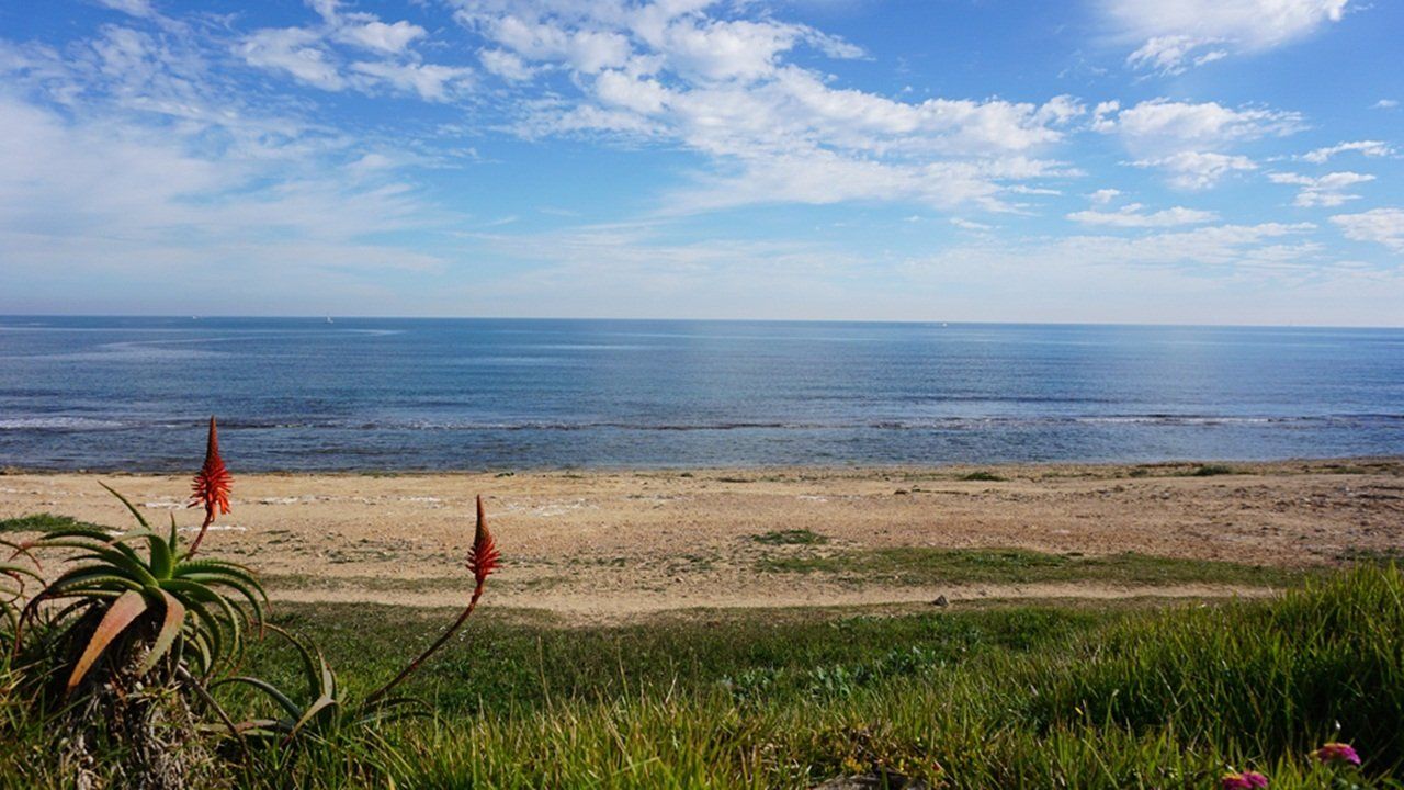 Wohnung in Costa Blanca, Spanien, 128 m² - Foto 13