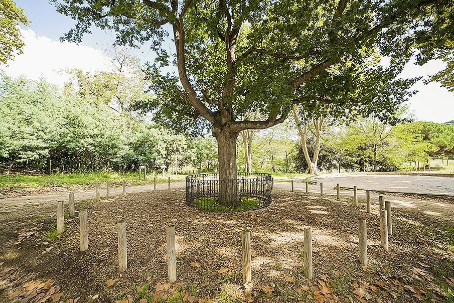 Townhouse sulla Costa del Maresme, Spagna, 270 m² - foto 13