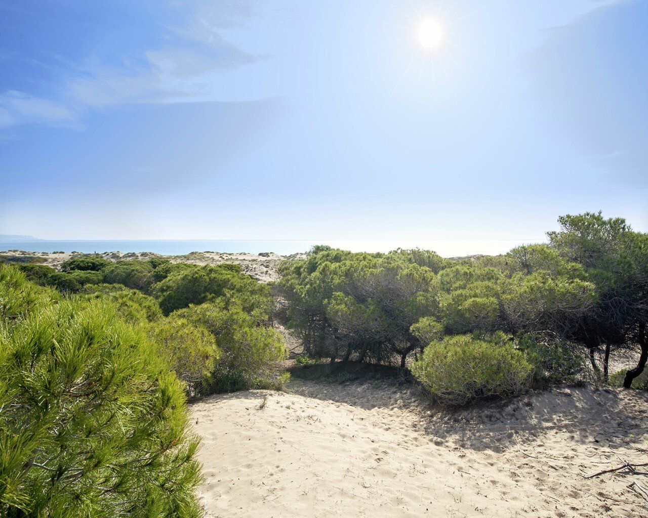 Wohnung in Costa Blanca, Spanien, 86 m² - Foto 17