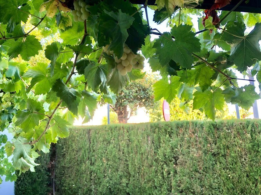 Casa Ispaniya, España, 280 m² - imagen 18