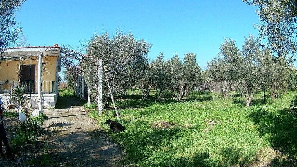 Maison en Sithonie, Grèce, 120 m² - image 5