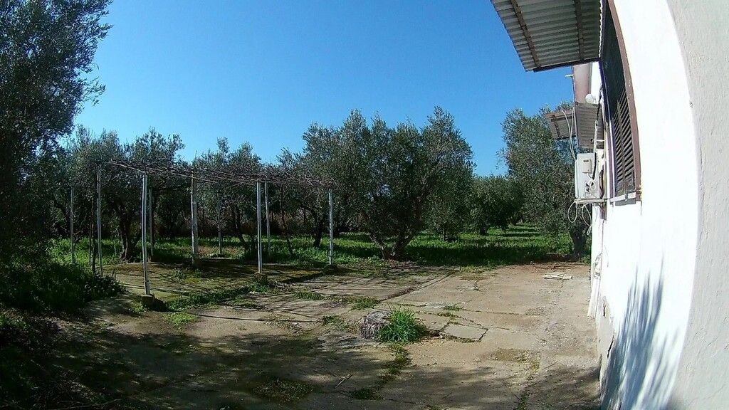 Maison en Sithonie, Grèce, 120 m² - image 6