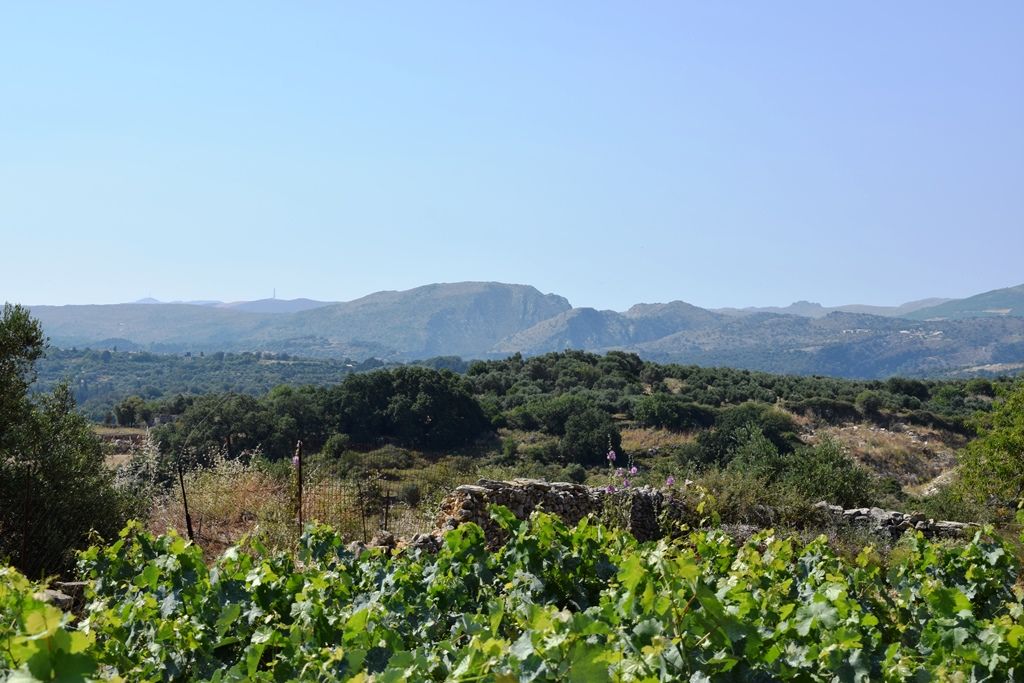 Land in Heraklion, Greece, 4 000 m² - picture 7