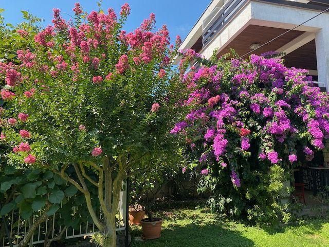 Villa in Opatija, Croatia, 350 m² - picture 4