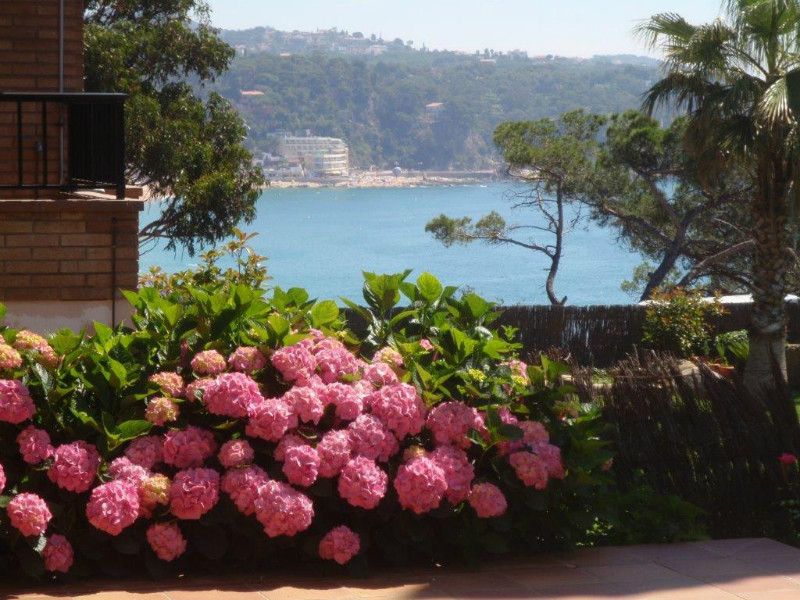 Chalet in Lloret de Mar, Spanien, 500 m² - Foto 1