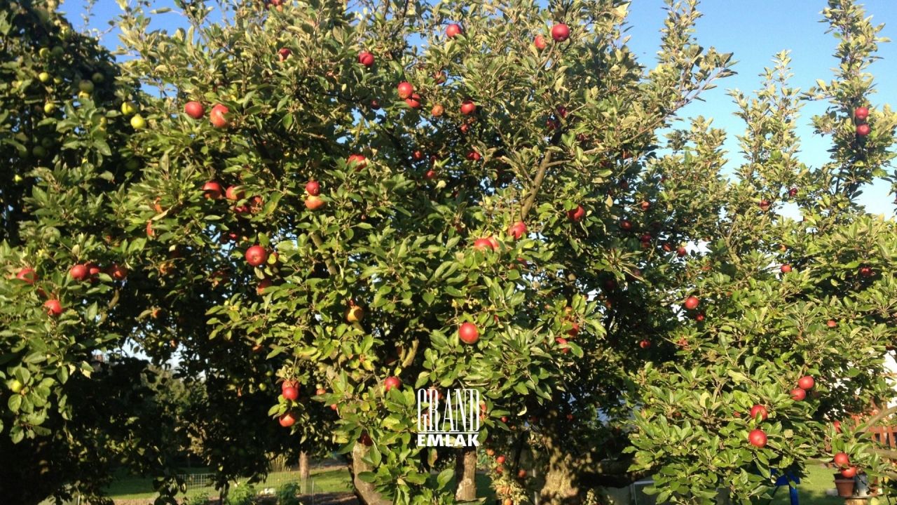 Grundstück in Konya, Türkei - Foto 5