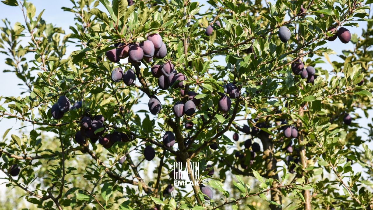Grundstück in Konya, Türkei - Foto 2