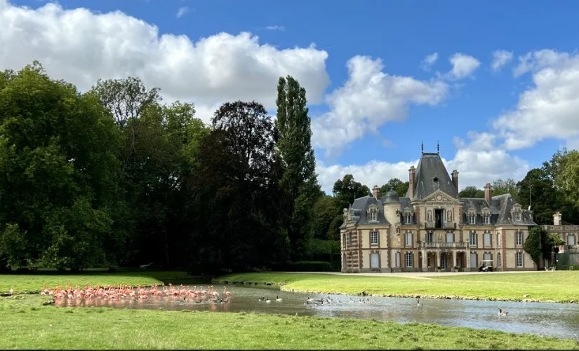 House in Paris, France, 1 000 m² - picture 4