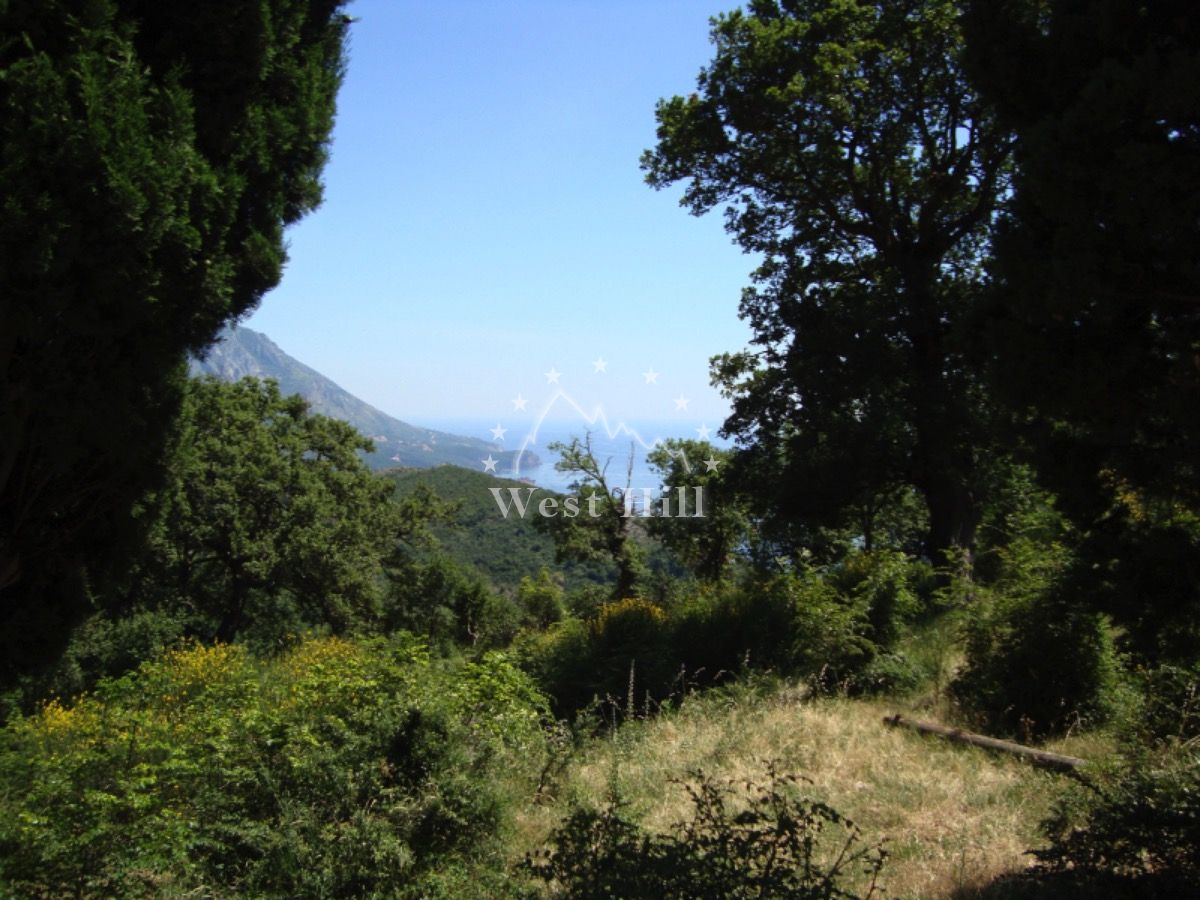 Land in Stanisici, Montenegro, 24 460 m² - picture 1