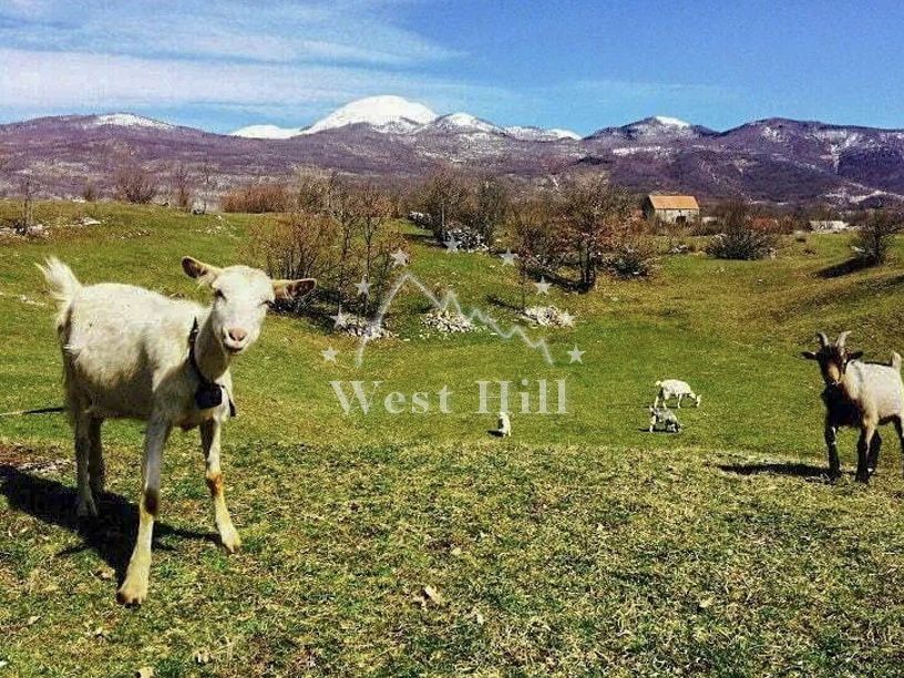 Terrain à Nikšić, Monténégro, 48 000 m² - image 1